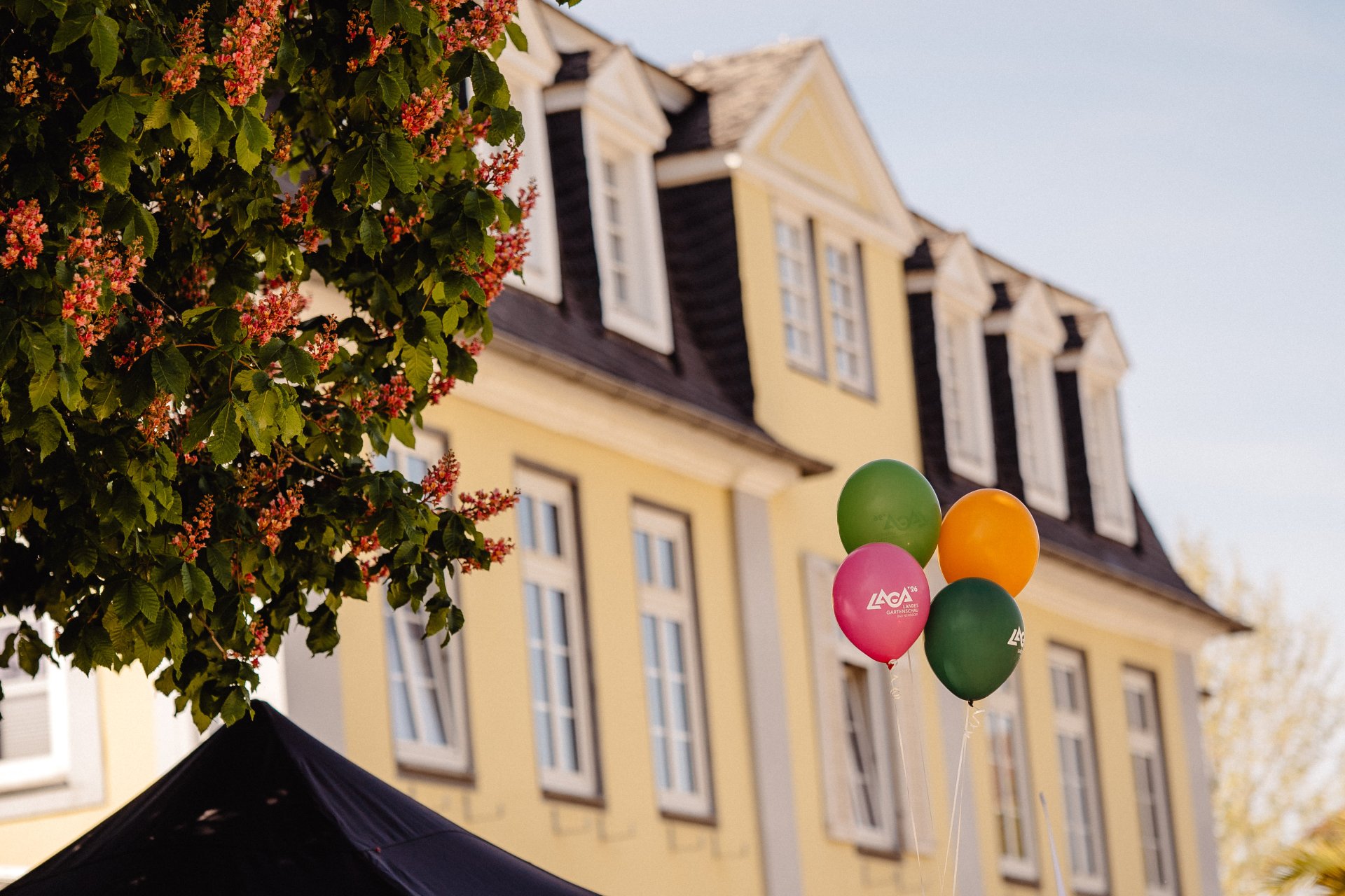 LaGa Countdown Veranstaltung April 2025